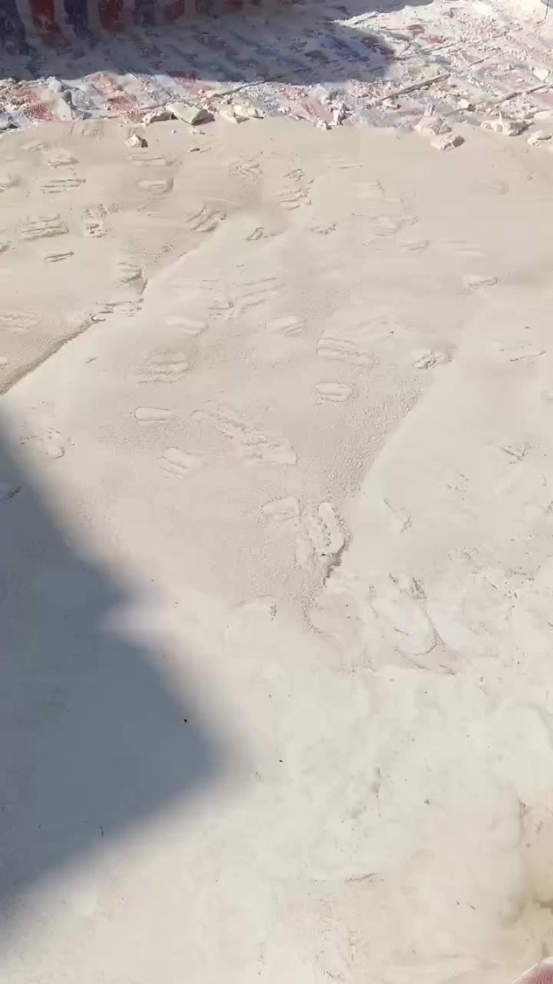 粉条