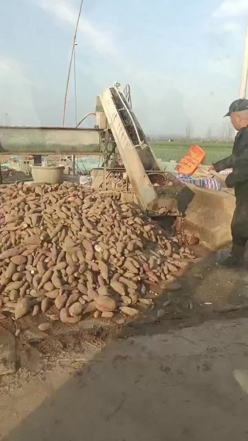 粉条