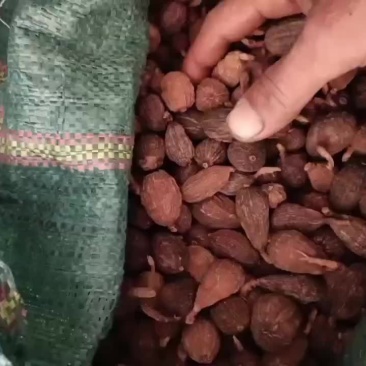 干草果