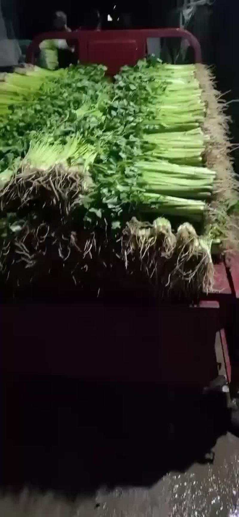 蔬菜代办