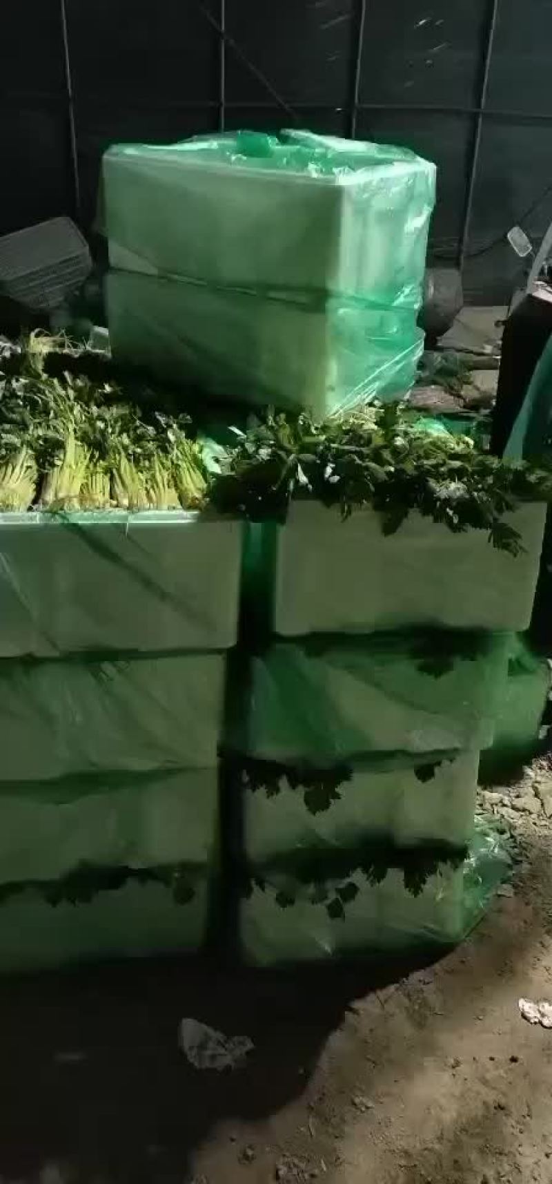 蔬菜代办