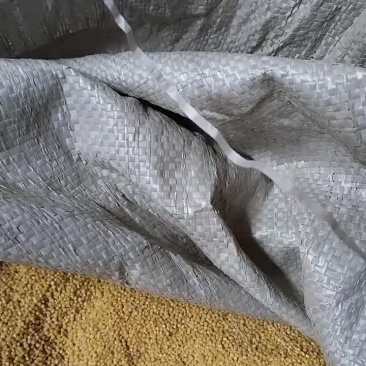 翼城隆化小米.糯米碜