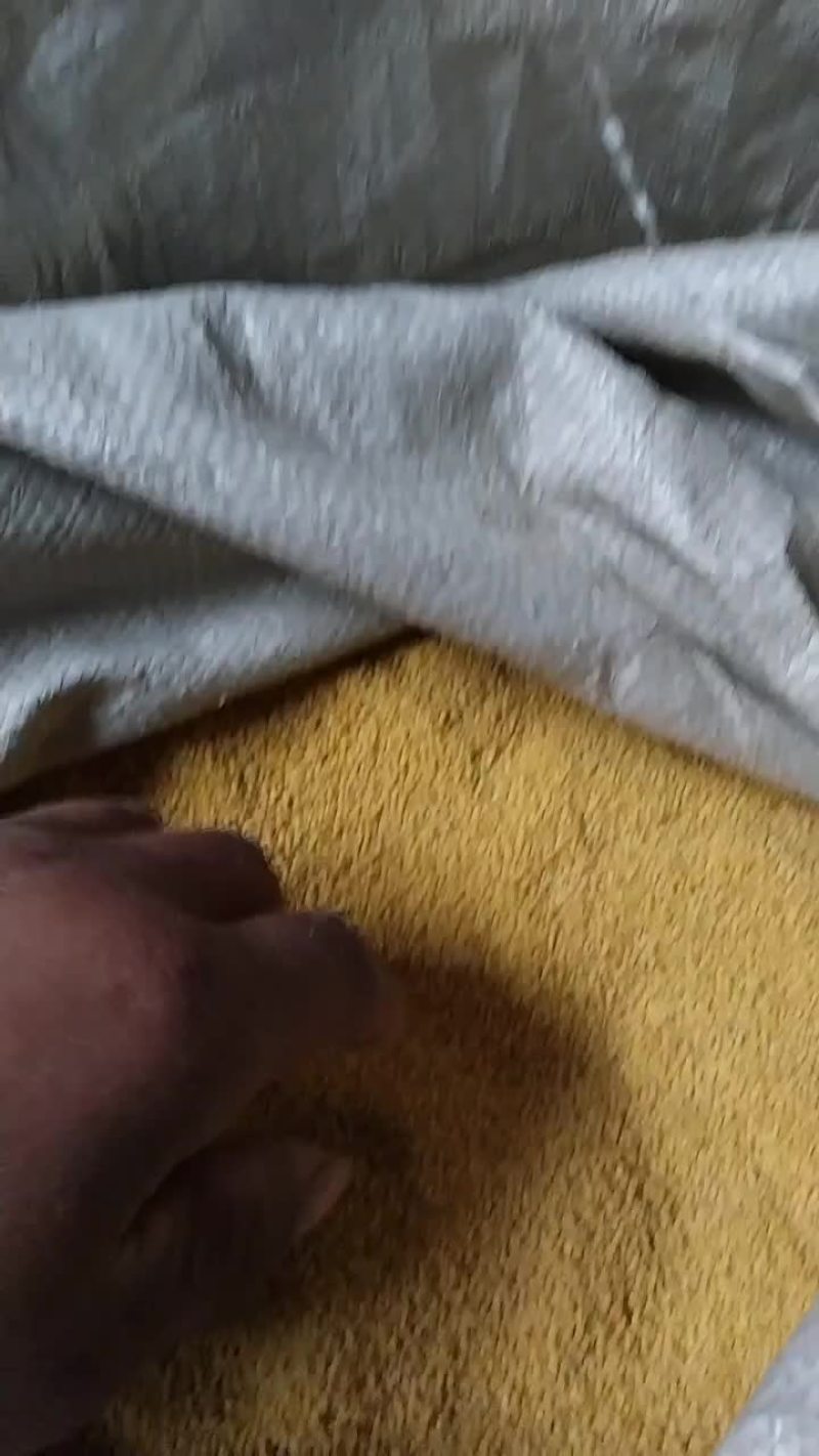 翼城隆化小米.糯米碜