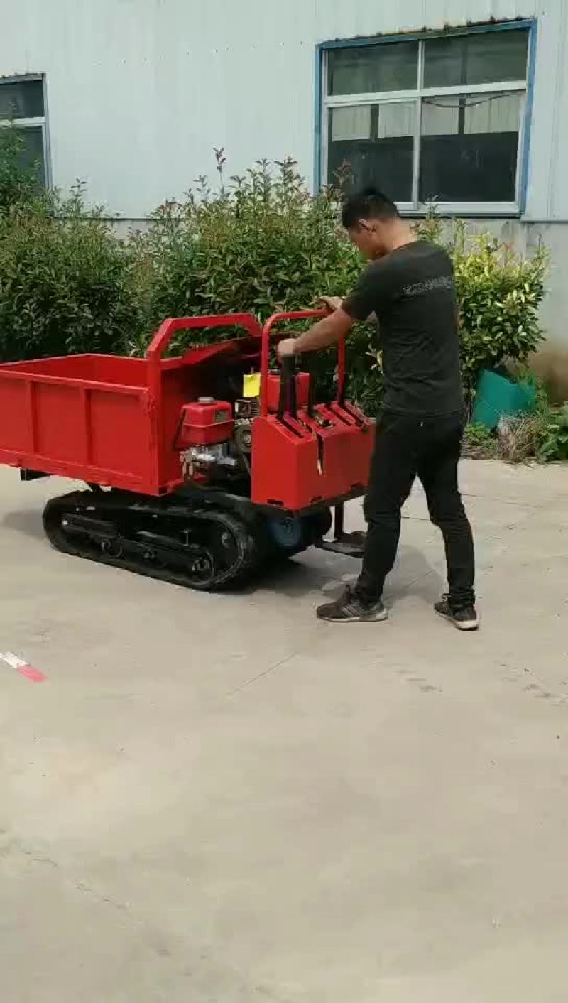 爬山虎履带运输车