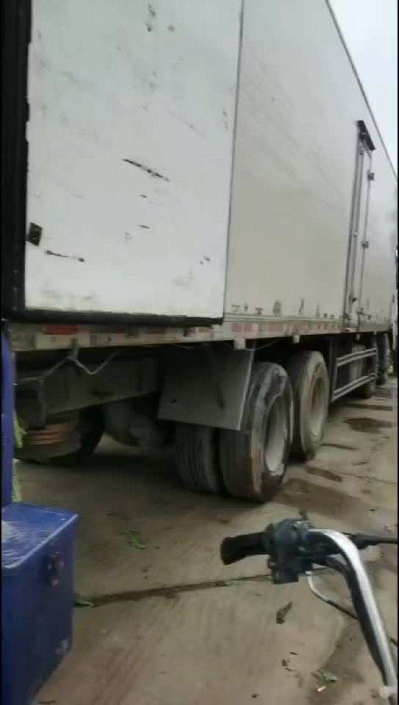 莴笋大量有货