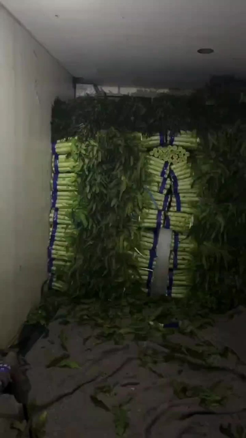 莴笋大量有货