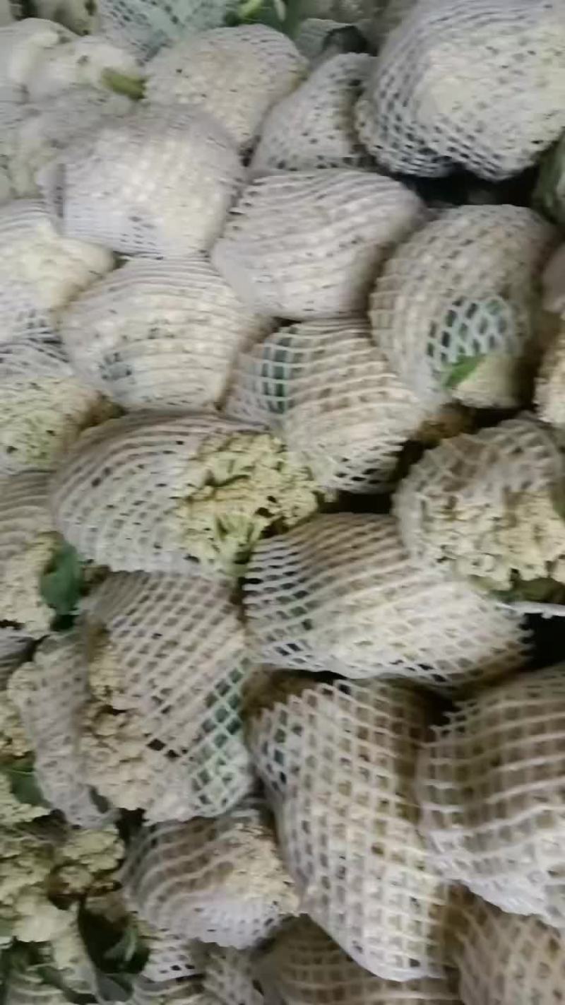 松花