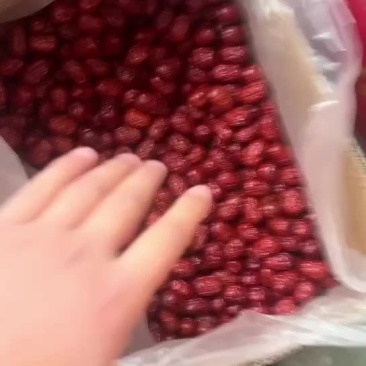 灰枣特级