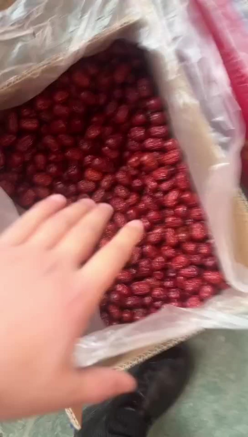 灰枣特级