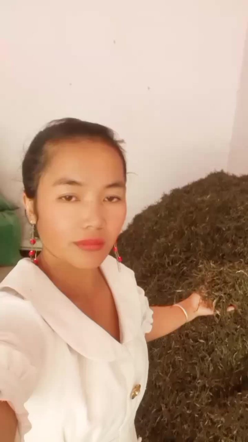 普洱晒青茶