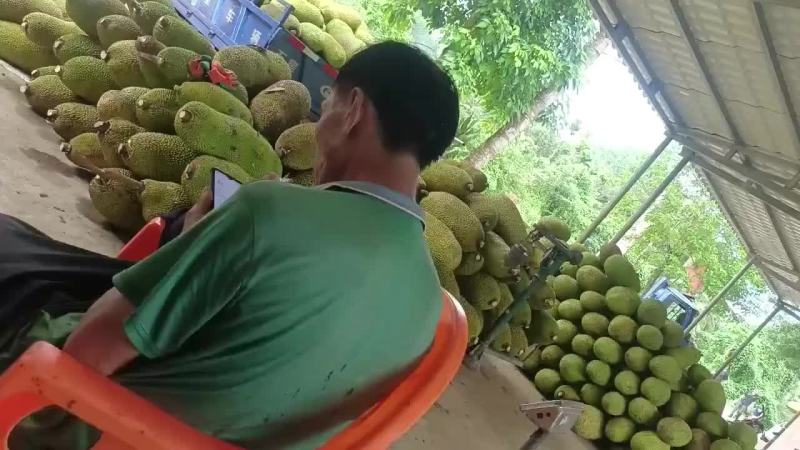 老板看看