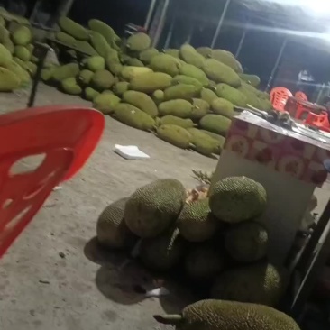 老板看看