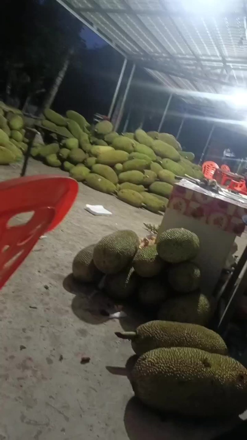 老板看看