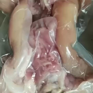 火烧熟牛蹄