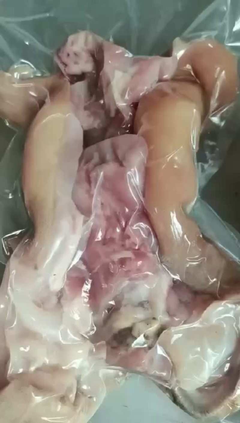 火烧熟牛蹄