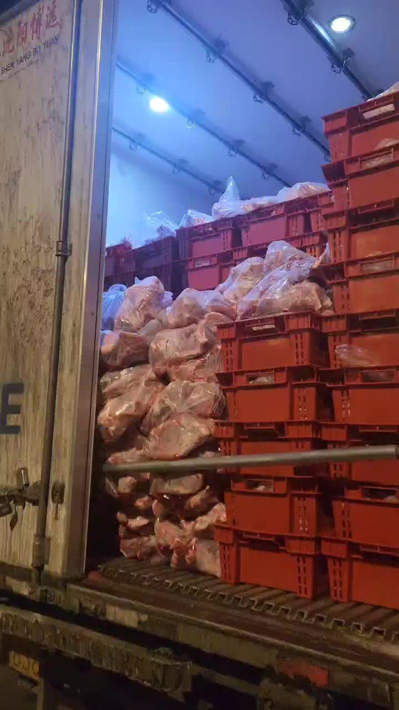 叉尾骨十吨鲜品