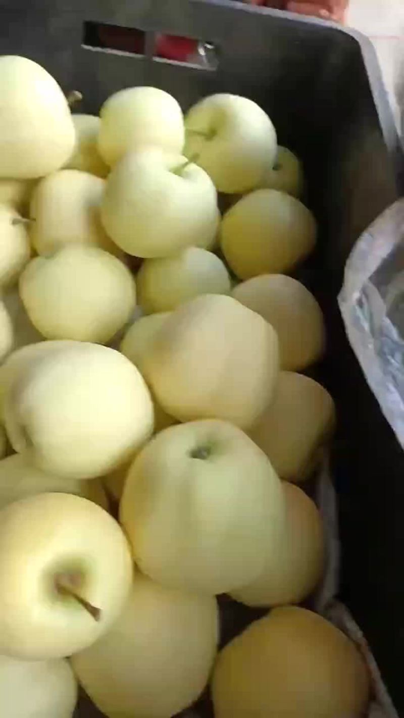 库里大量黄元帅(金帅)可供各大商超、市场需要联系订购