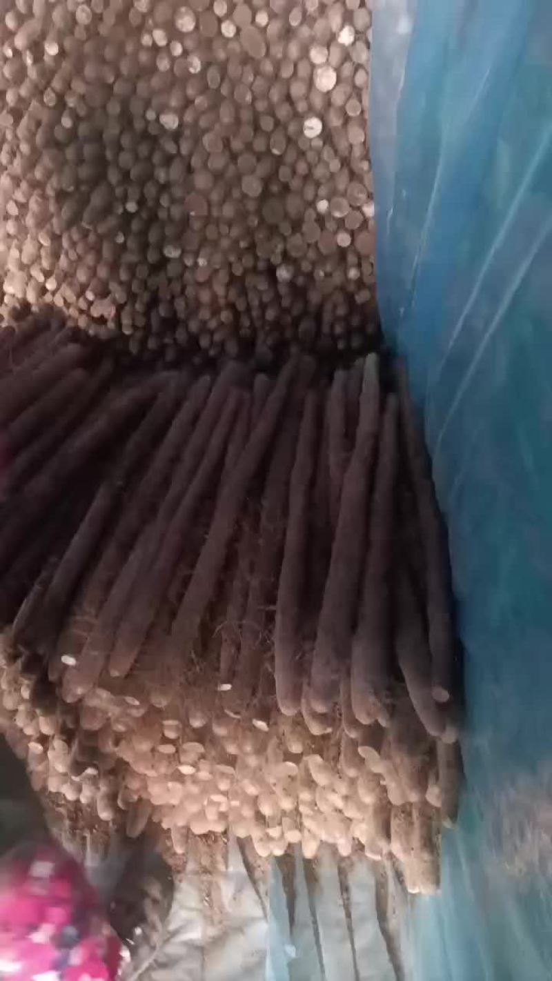 白玉通货