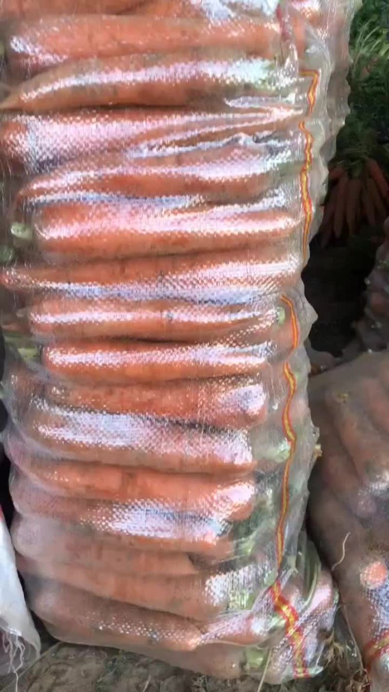 产地直发欢迎各地老板前来选购，团队的宗旨一次合作终身朋友