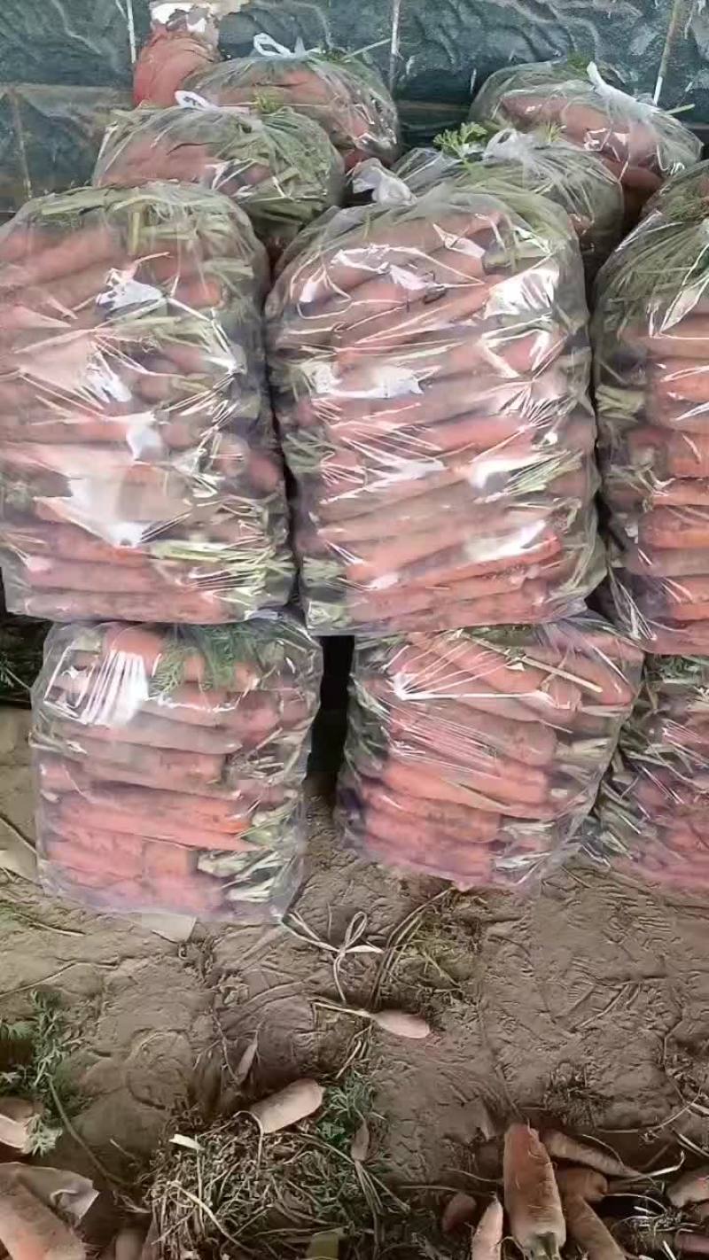产地直发欢迎各地老板前来选购，团队的宗旨一次合作终身朋友