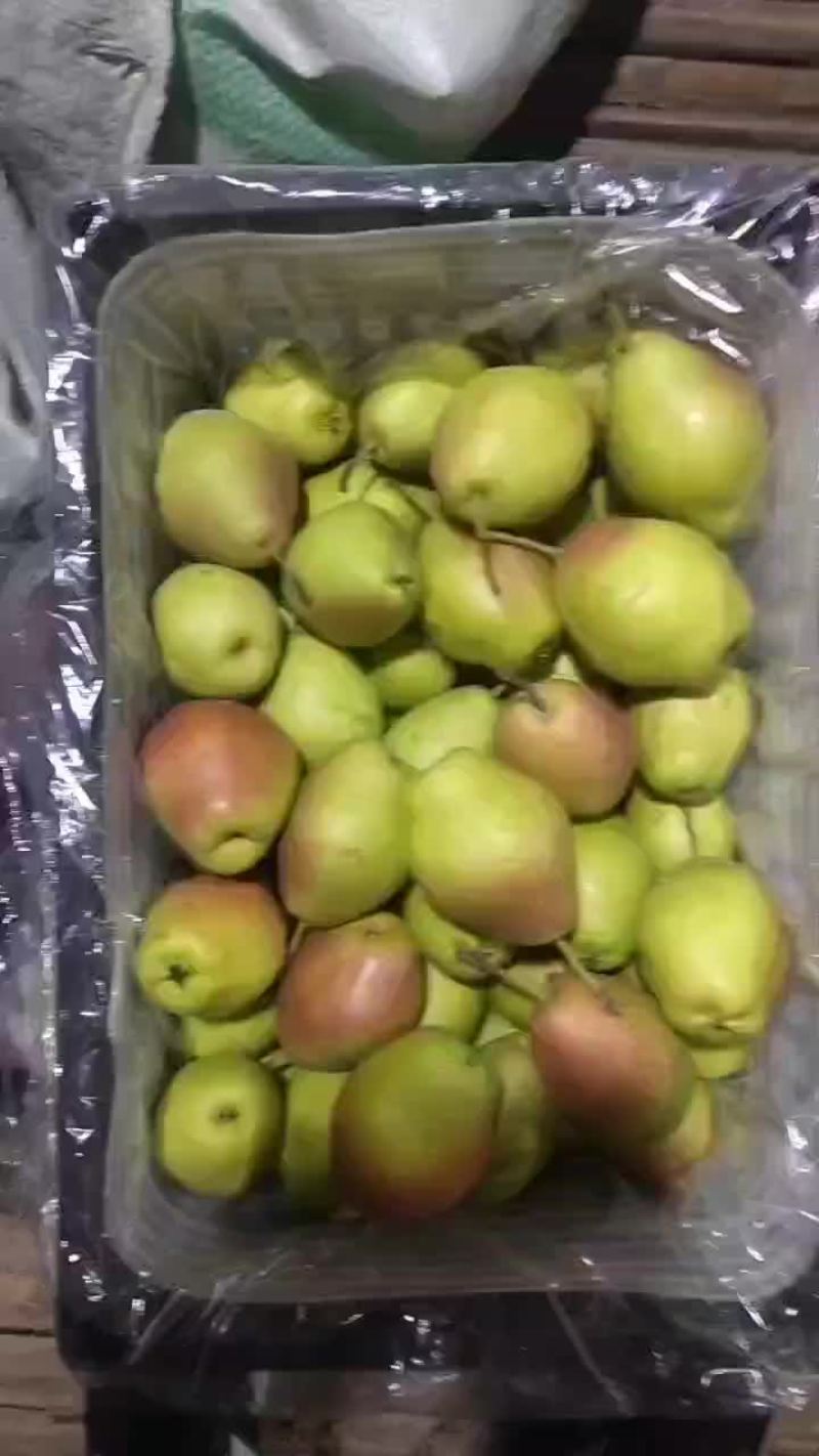 红香酥梨口感超甜过手质量