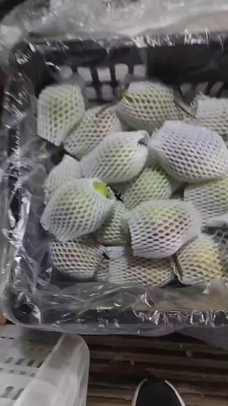 红香酥梨口感超甜过手质量