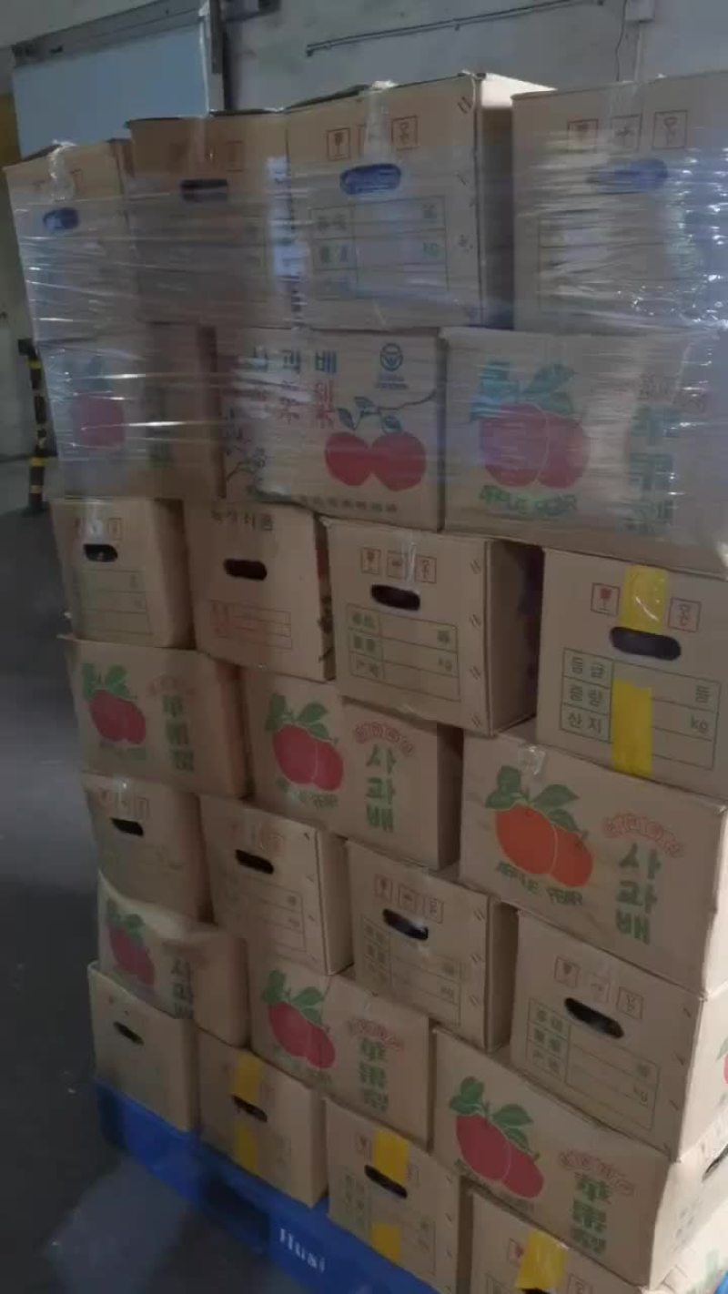 东北大冻梨