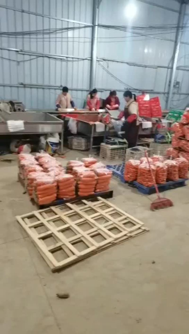 产地直供大量有货欢迎各地老板前来选购一次合作终身朋友
