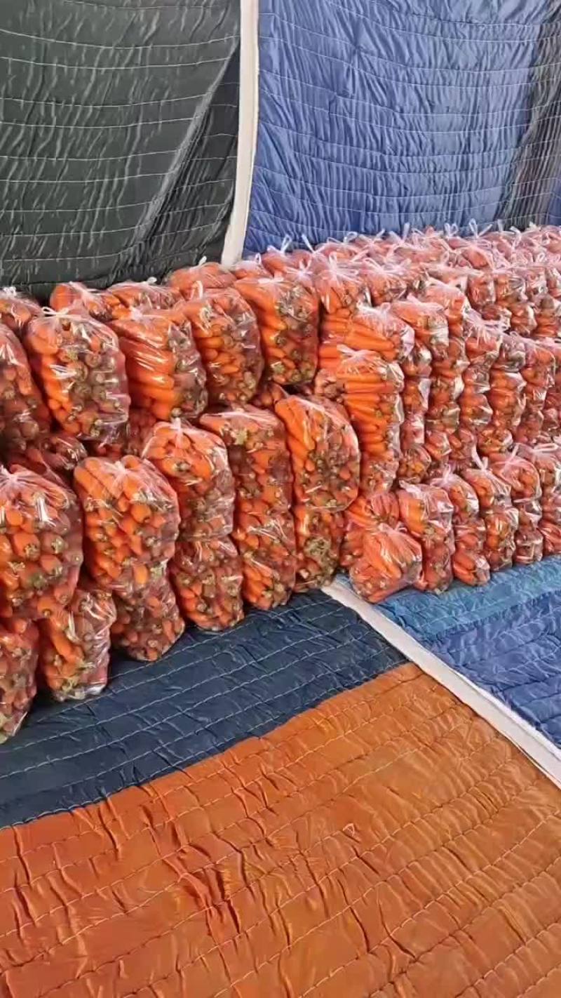 产地直供大量有货欢迎各地老板前来选购一次合作终身朋友