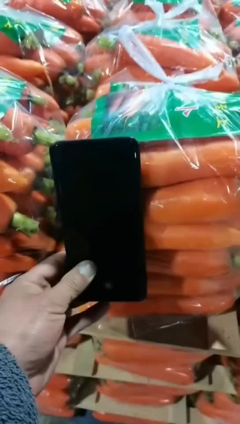 产地直供大量有货欢迎各地老板前来选购一次合作终身朋友