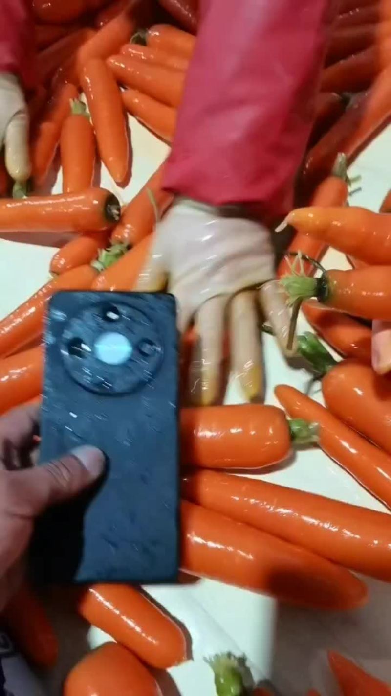 产地直供大量有货欢迎各地老板前来选购一次合作终身朋友