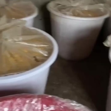 贵州农家土酒