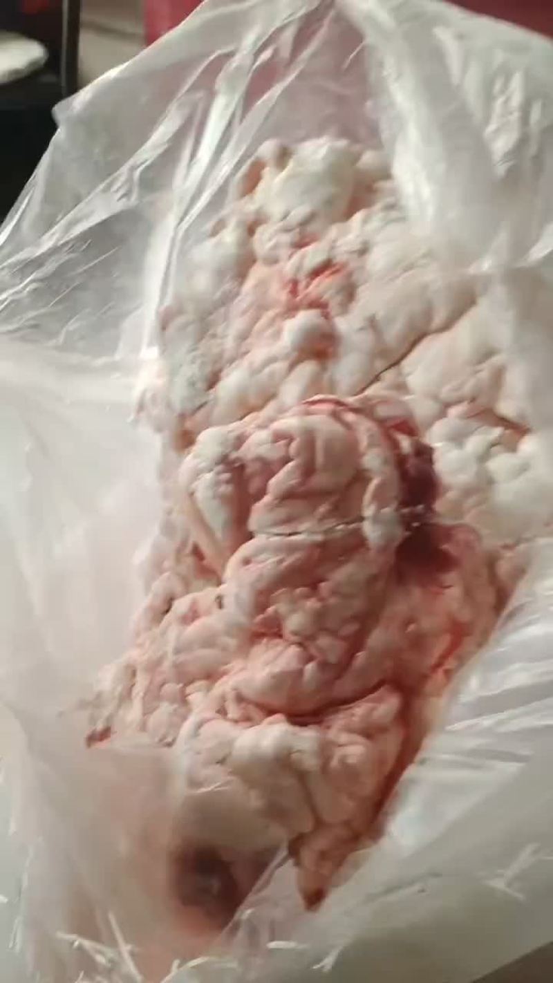 精品无任何杂油在里面都是纯干牛腰油一块一块散冻价格适中