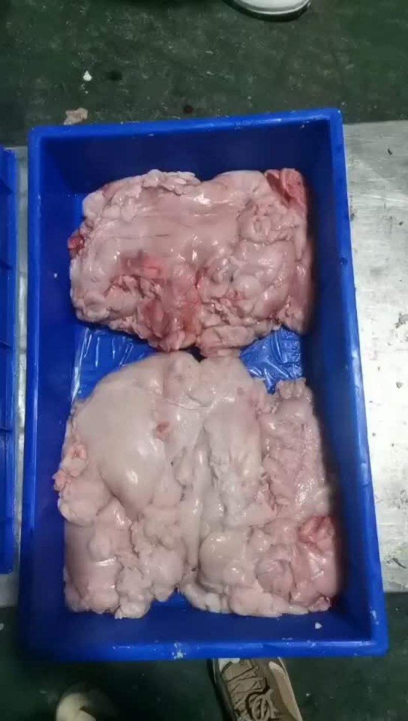 精品无任何杂油在里面都是纯干牛腰油一块一块散冻价格适中