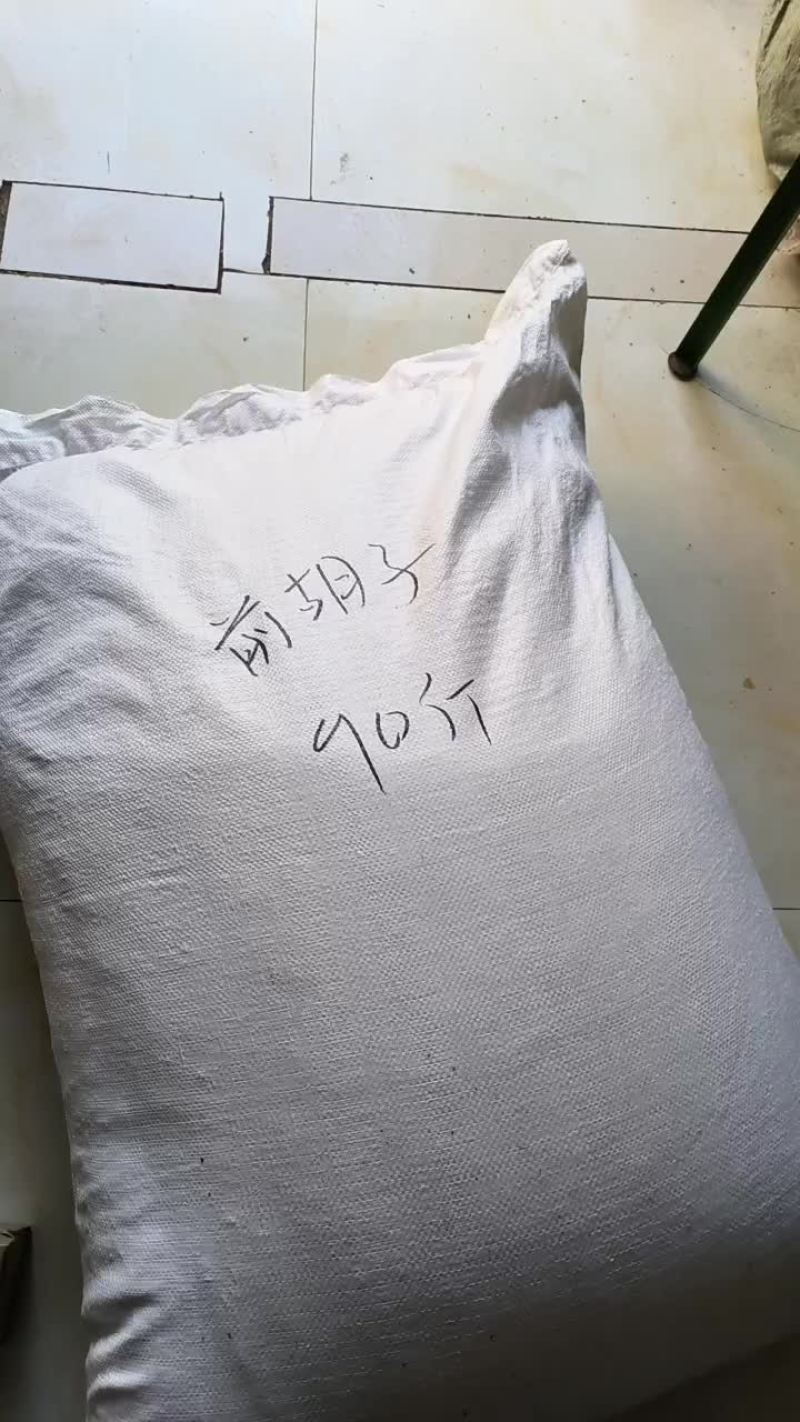 前胡种子发货