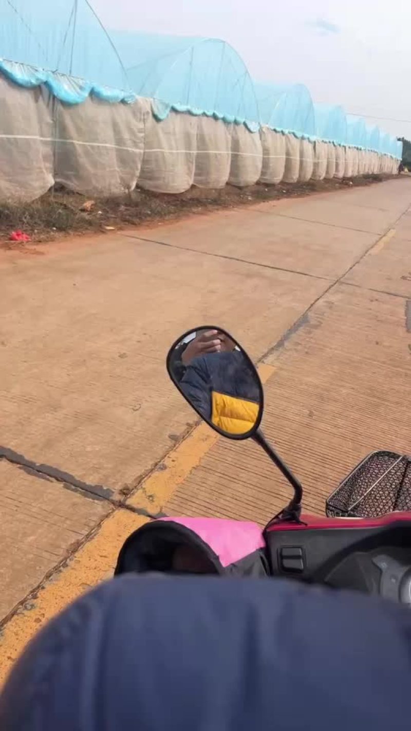 黄皮尖椒