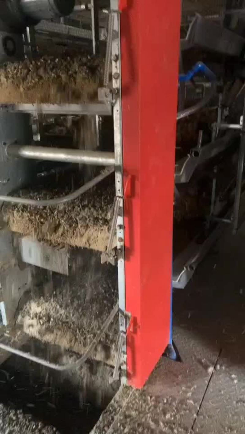 海量肉鸡粪免费送，鸡场地址，湖州南浔区温氏种鸡场