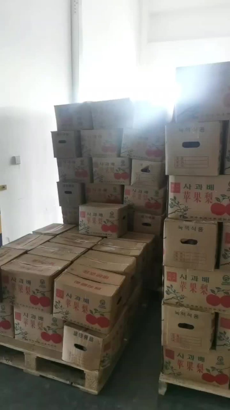 东北大冻梨
