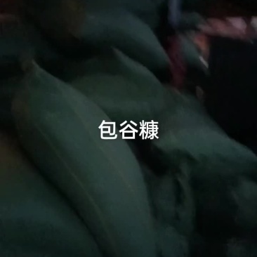 玉米秸秆