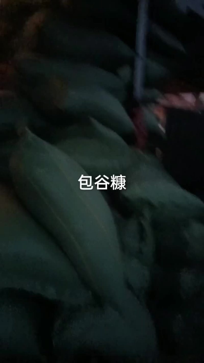 玉米秸秆