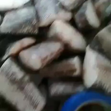 鳕鱼块