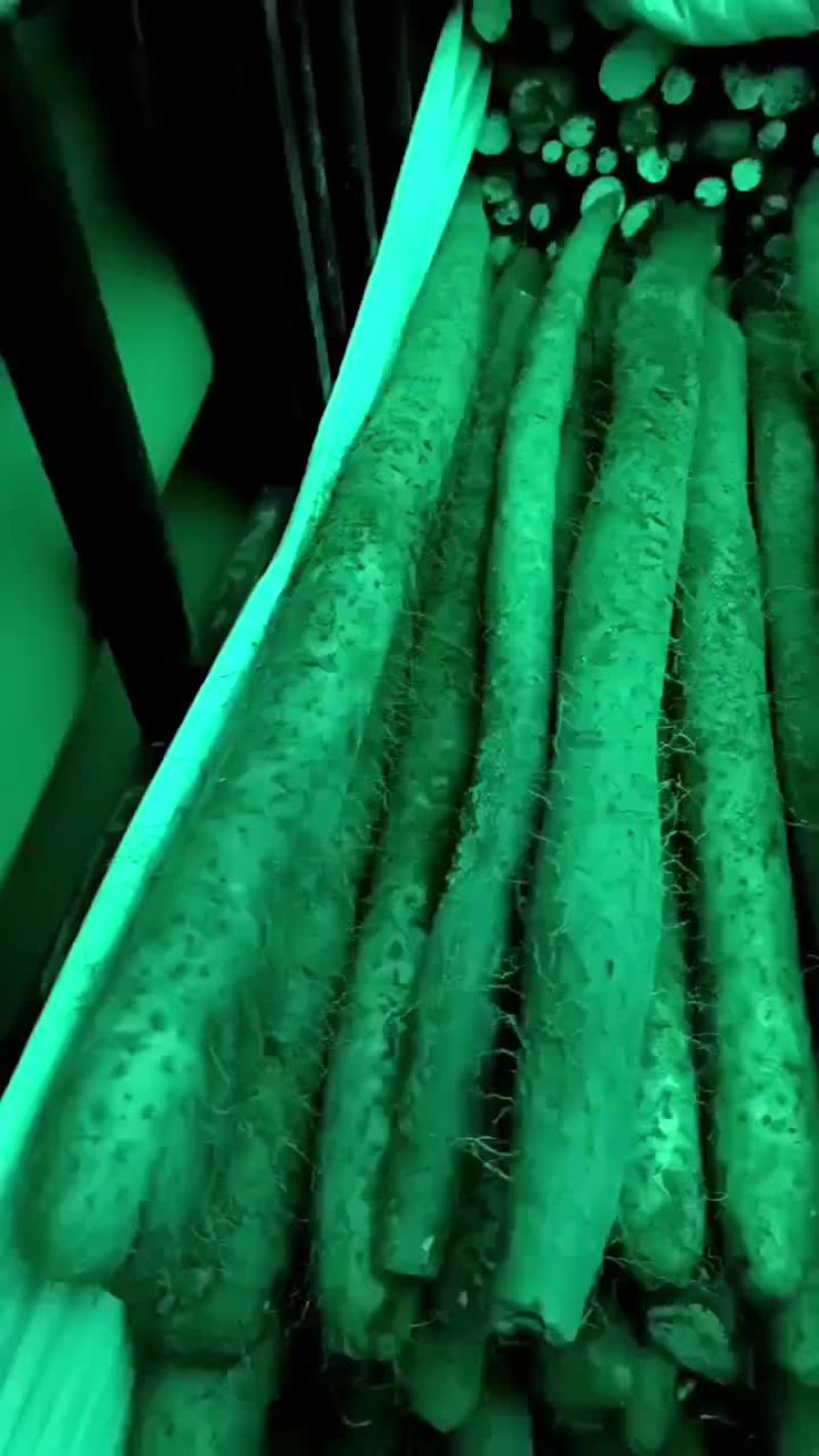 白玉山药批发