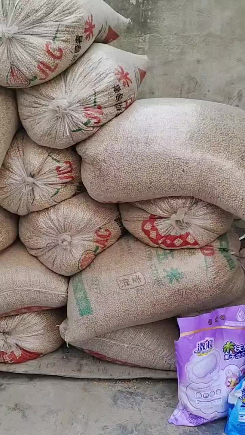 大豆一万多斤