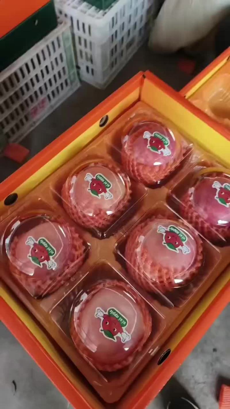 红富士苹果大量供冷库