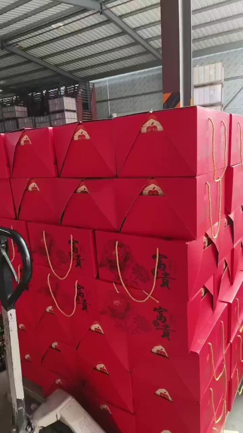 红富士苹果大量供冷库