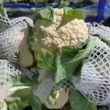 有机菜花