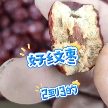 稷山板枣