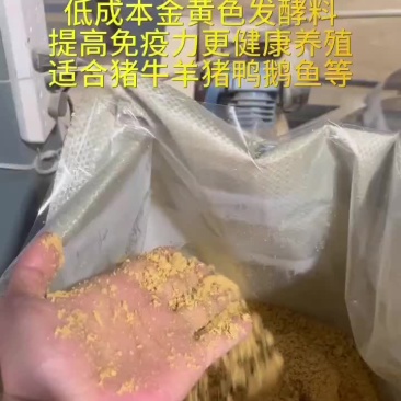 低成本金黄色发酵料提高免疫力更健康养殖#发酵饲料#发酵