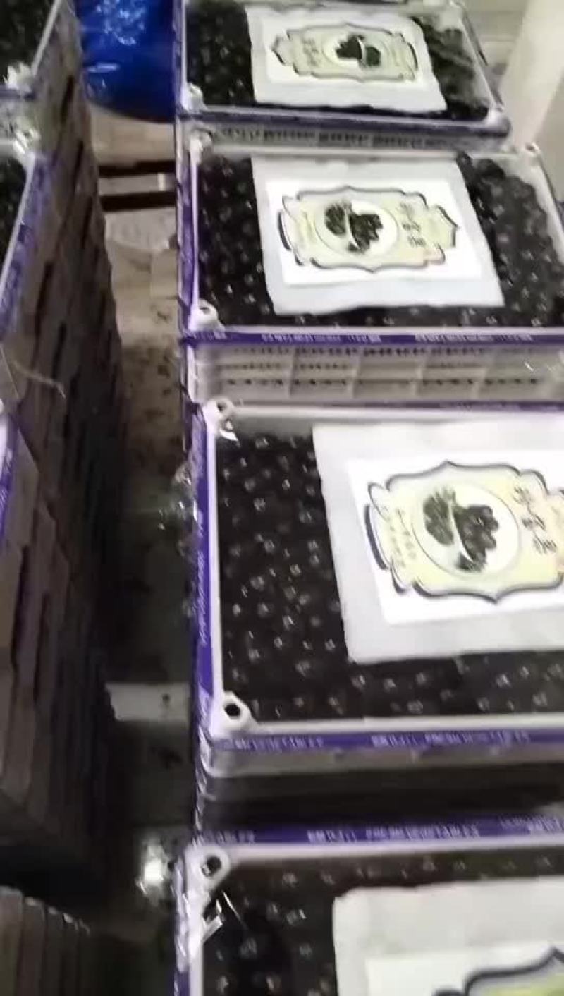 珍宝果