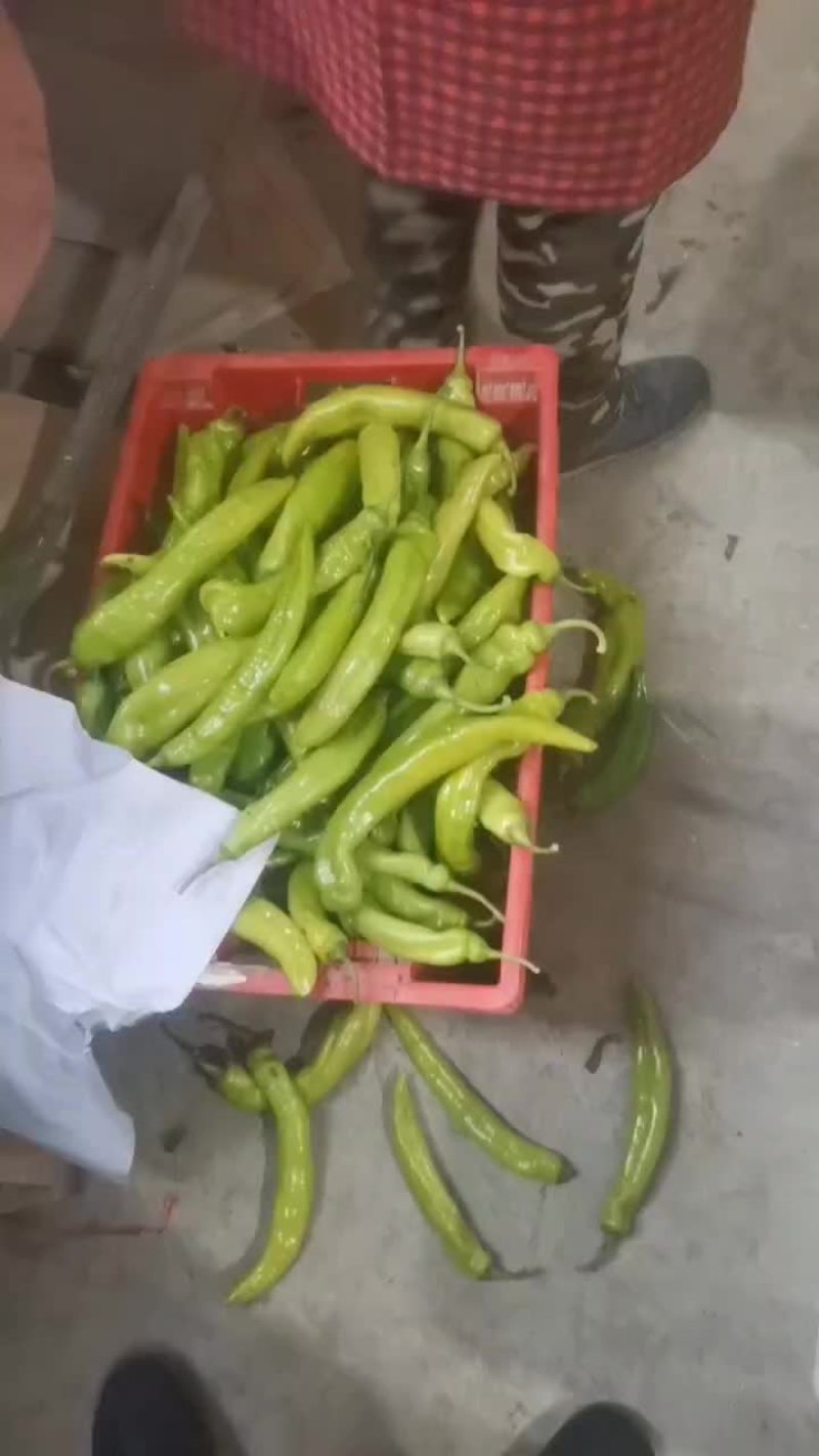 尖椒食堂工厂专用